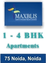 Maxblis White House